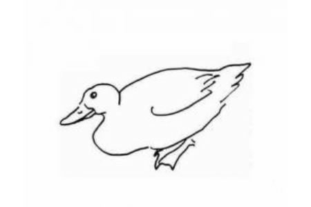 儿童动物简笔画鸭子