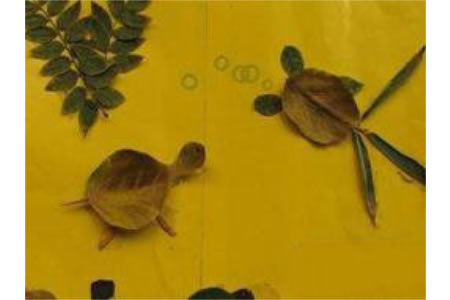 树叶贴画作品：小乌龟