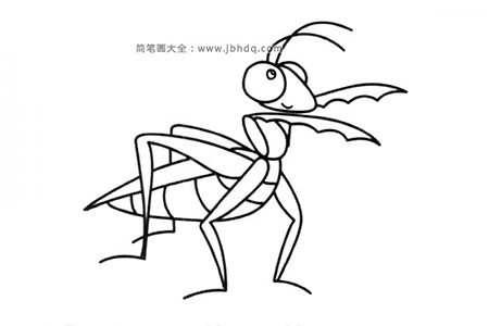 螳螂简笔画图片