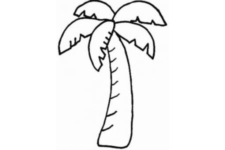 植物简笔画大全 椰子树的画法