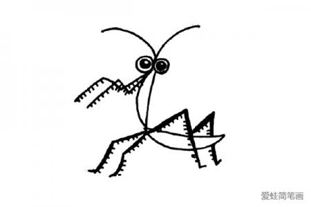 四张小昆虫简笔画