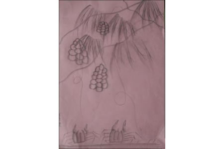 葡萄成熟了,有关于秋天主题的儿童画作品