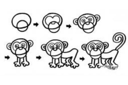 小猴子和狒狒的画法