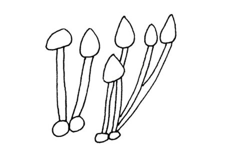 一组简单的蘑菇简笔画图片