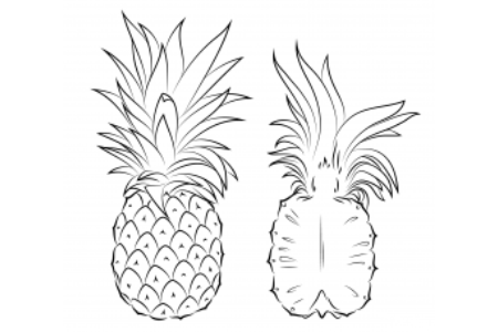 菠萝的简单画法