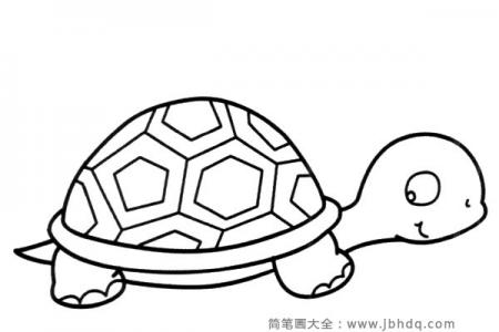 可爱的卡通乌龟