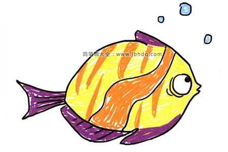 鱼儿水中游 一组漂亮的小鱼简笔画图片