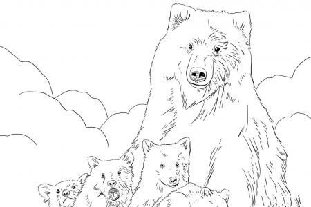 灰熊妈妈和宝宝