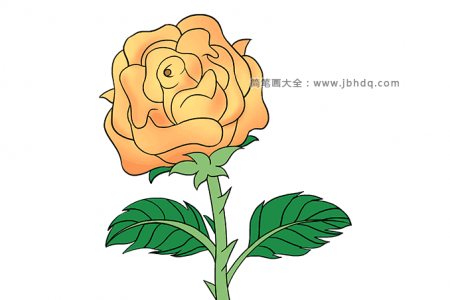 漂亮的黄玫瑰简笔画图片
