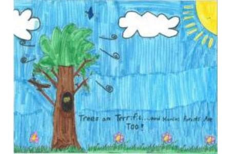 大树朋友小学生植树节绘画图片大全