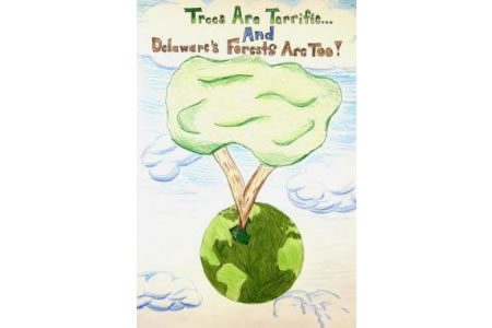 保护地球爱护树木植树节图画欣赏