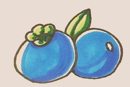简笔画之蓝莓