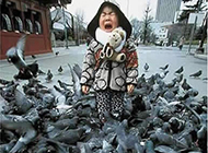 当鸽群围上小女孩 吓哭了