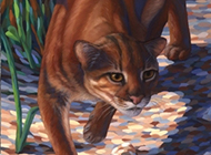 野生金猫霸气彩绘图片