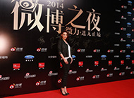 2014微博之夜年度盛典在北京举行 莫小棋身着西装变气场女王