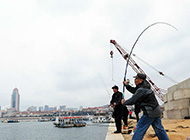 青岛市民钓鱼不用饵 网友称＂那里的鱼都是猪吗＂