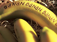 水果之王香蕉诱人高清图