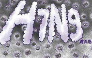 1月7日前广东出现H7N9首例死亡病例