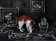 可爱宠物猫咪创意绘画美