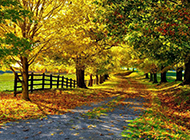秋天唯美大自然风景图片桌面壁纸