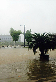 南京城遭暴雨袭击多处可"看海"
