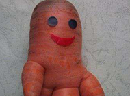搞怪蔬菜图片之有喜感的萝卜娃娃