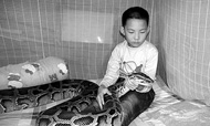 广东东莞13岁男童与蟒蛇生活“同居”12年