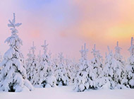 绝美冬天雪景精美桌面壁纸