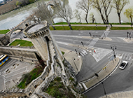 法国普罗旺斯教皇之城萧瑟秋天风景图片