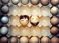 个性彩绘温馨鸡蛋的一家