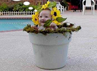 花盆里长出来的可爱宝宝