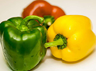 彩色青椒蔬菜图片