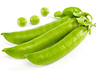 新鲜清甜的绿色蔬菜图片