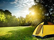 青青的草地上旅游帐篷图片