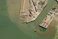 英国巨型螃蟹入侵海边码头 就问你怕不怕
