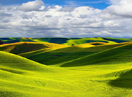 绿色草原风景图片美丽迷人