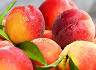 鲜美可口的桃子水果高清图片