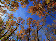 秋天大自然风景图片唯美意境壁纸