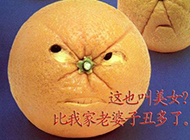 真可爱搞怪的橘子搞笑图