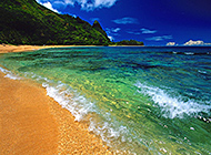 沙滩椰林夏威夷海滨唯美绿景