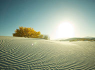 新疆戈壁沙漠绿洲图片风景壁纸