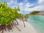 巴哈马群岛美丽风景图片欣赏