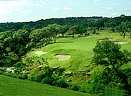 绿草如茵的高尔夫球场美丽风景图片