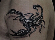 酷炫3D蝎子手臂纹身