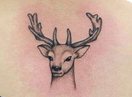 女生颈部鹿图腾刺青纹身图片