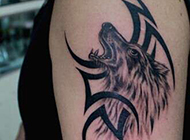 霸气的手臂狼纹身图腾图案欣赏