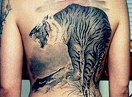 背部精美野兽纹身图片