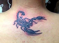 男生颈部3d蝎子纹身图案逼真精致
