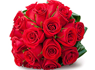 情人节唯美红玫瑰浪漫图片素材