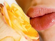 美人亲吻黄玫瑰高清图片
